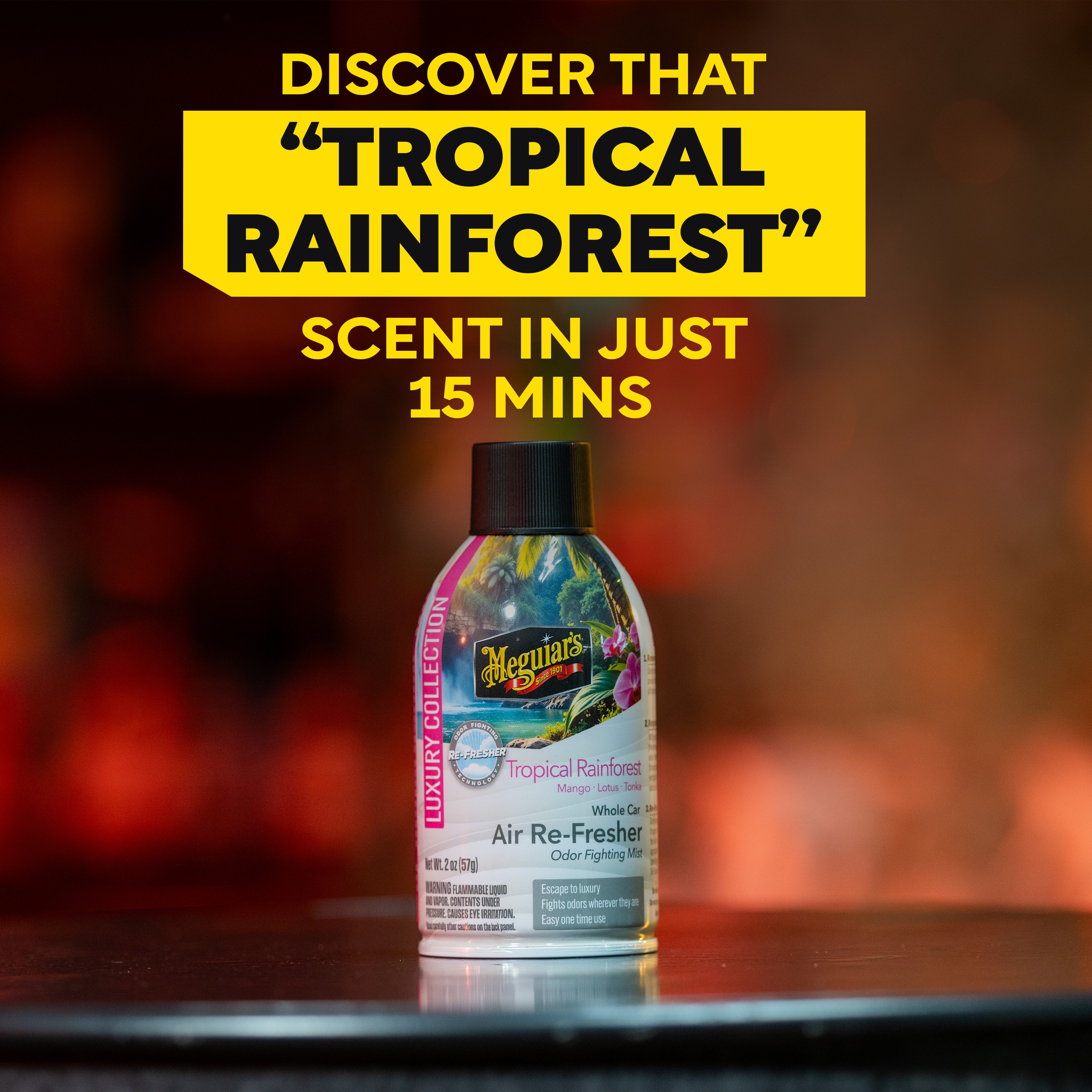 G262602 Whole Car Air Refresher - Tropical Rainforest