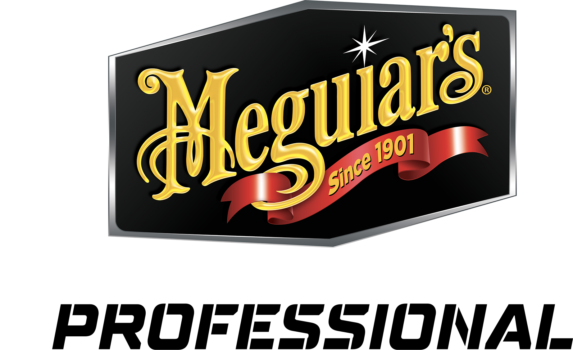 The Meguiar's Logo with the Professional Sub Brand Logo beneath it