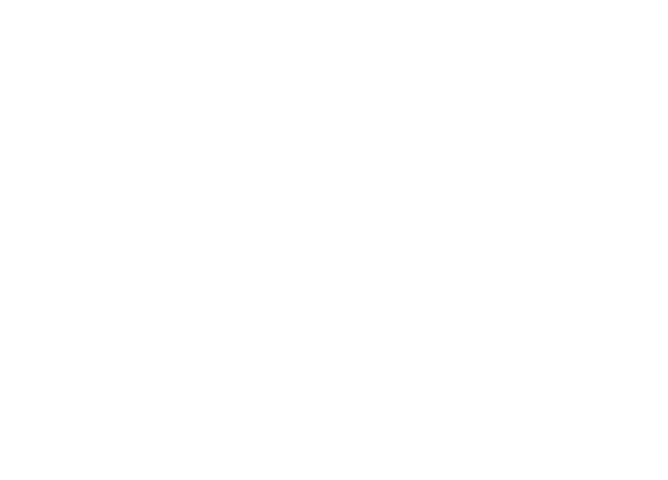 Meguiar's Logo